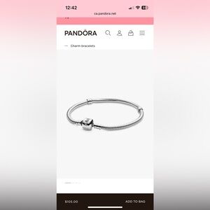 Pandora charm bracelet
